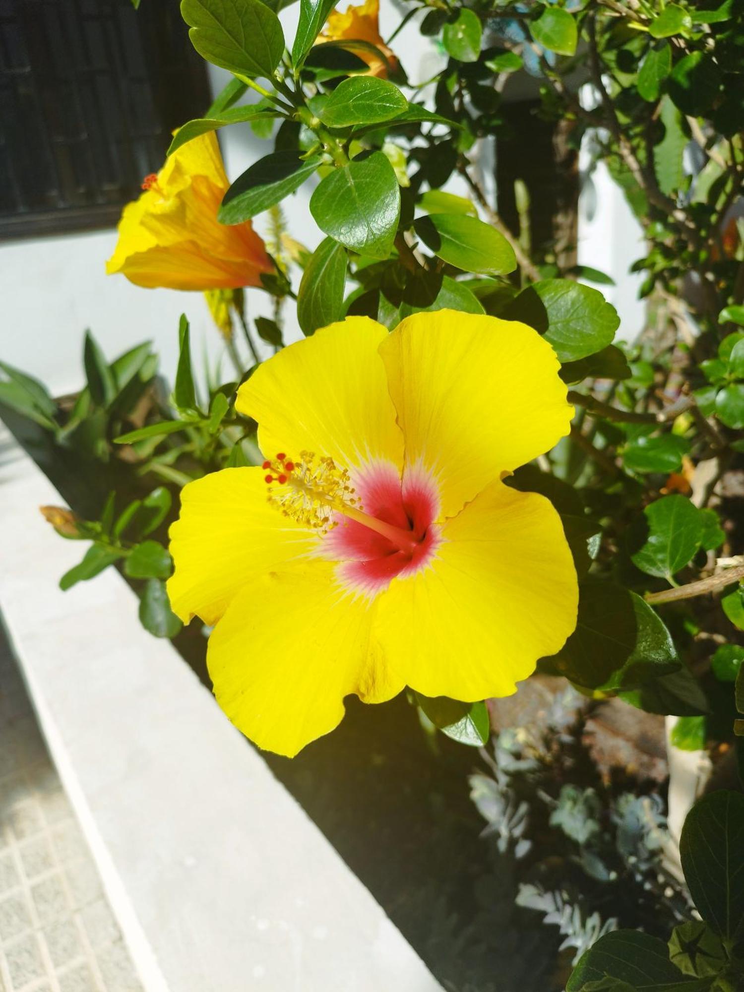 דירות ארונה Casa De Maria Luisa מראה חיצוני תמונה