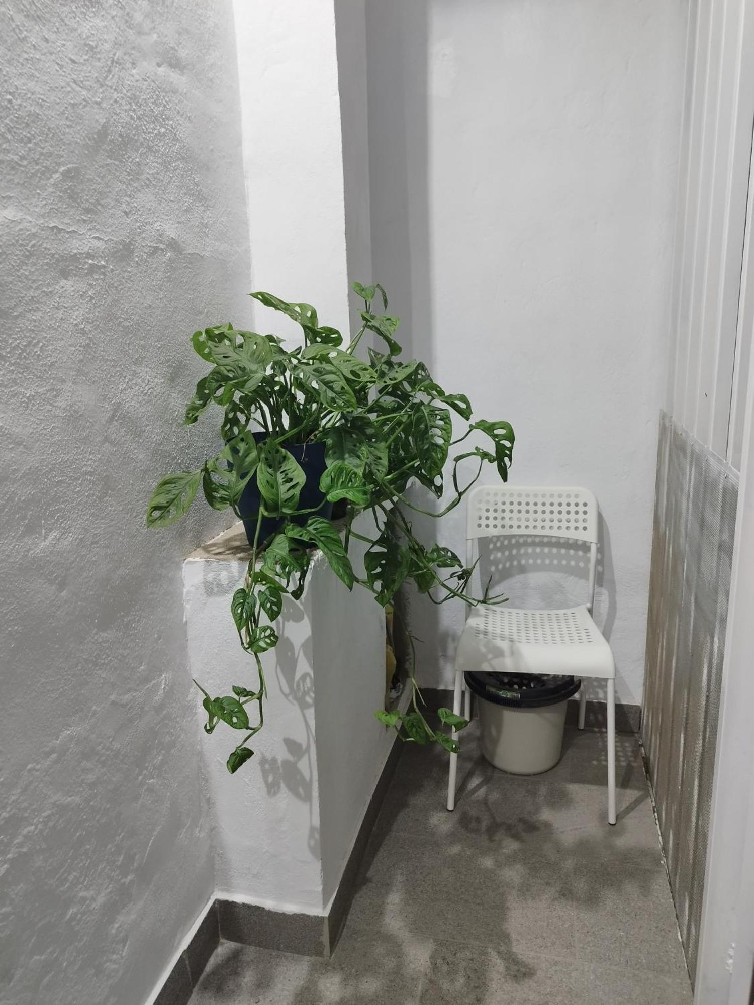 דירות ארונה Casa De Maria Luisa מראה חיצוני תמונה
