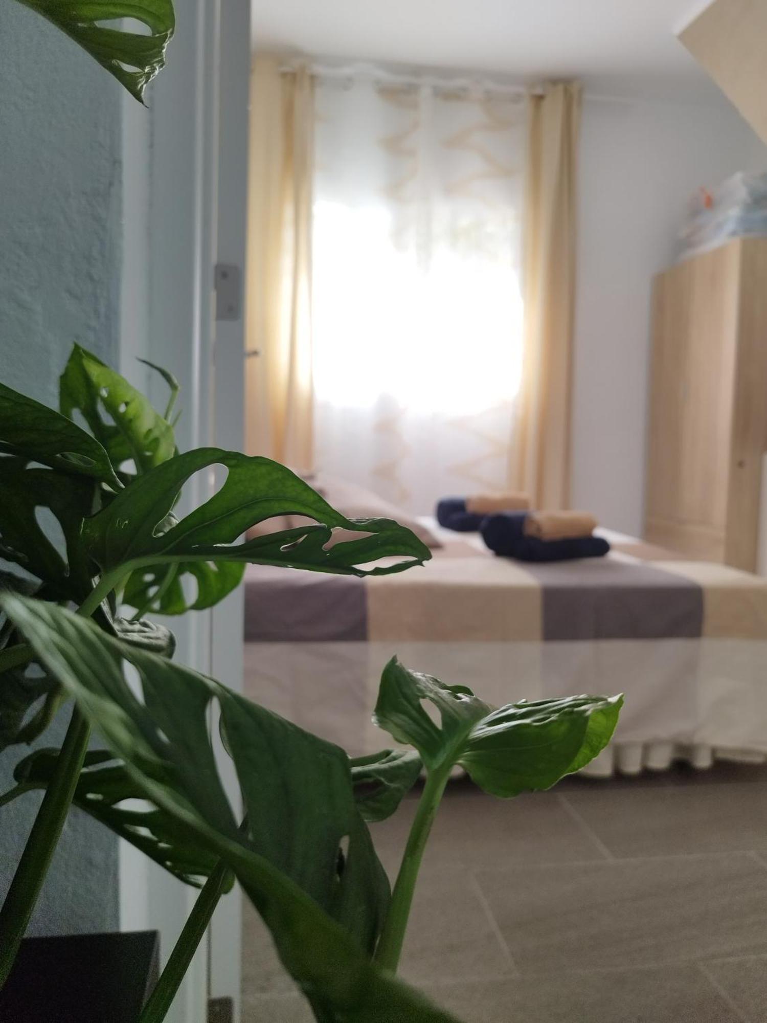 דירות ארונה Casa De Maria Luisa מראה חיצוני תמונה